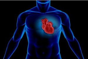 Nemocné srdce patří do futrálu. Foto: Start-up.cz