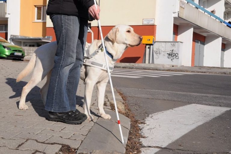 bariéry nevidiaci slabozrakí