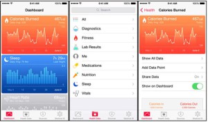 Obrazovky aplikace Healthkit. Repro: Flywheel.com